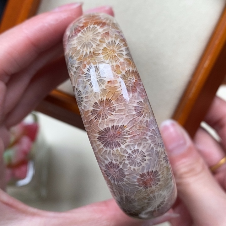 硅化珊瑚（珊瑚玉）手镯未镶嵌56.4