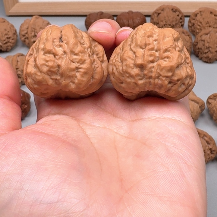 文玩核桃把件蛤蟆头