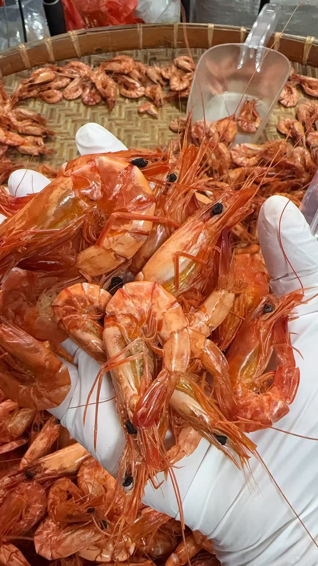 九节虾   可即食海产品