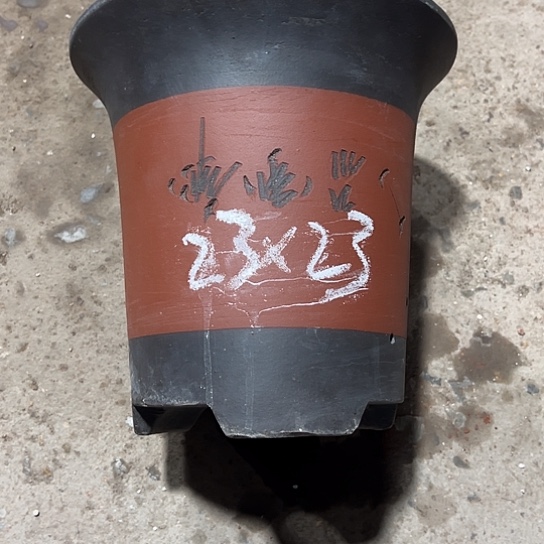 紫砂工艺厂……紫砂工艺厂……