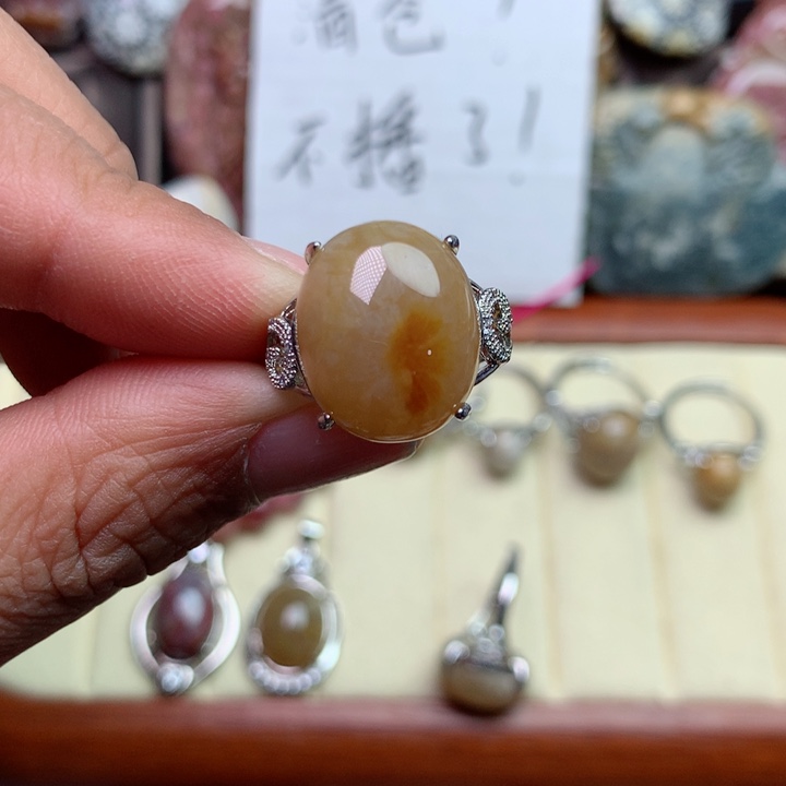 硅化珊瑚（珊瑚玉）颈饰未镶嵌