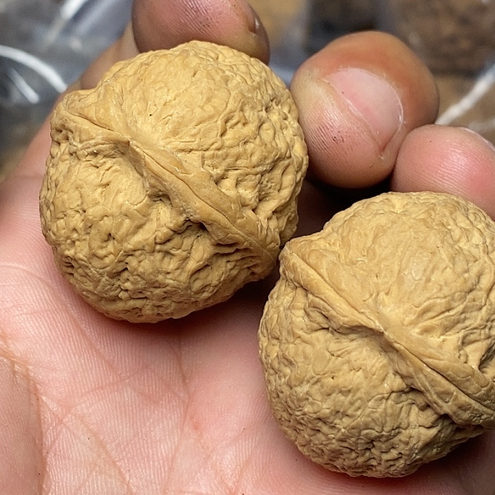 把件文玩核桃志成云铁文玩46