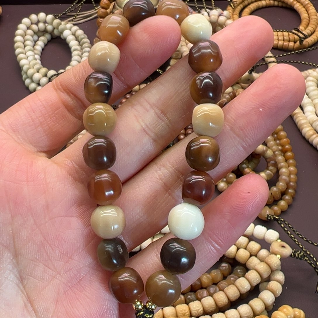 米****吊坠龙脊菩提原籽