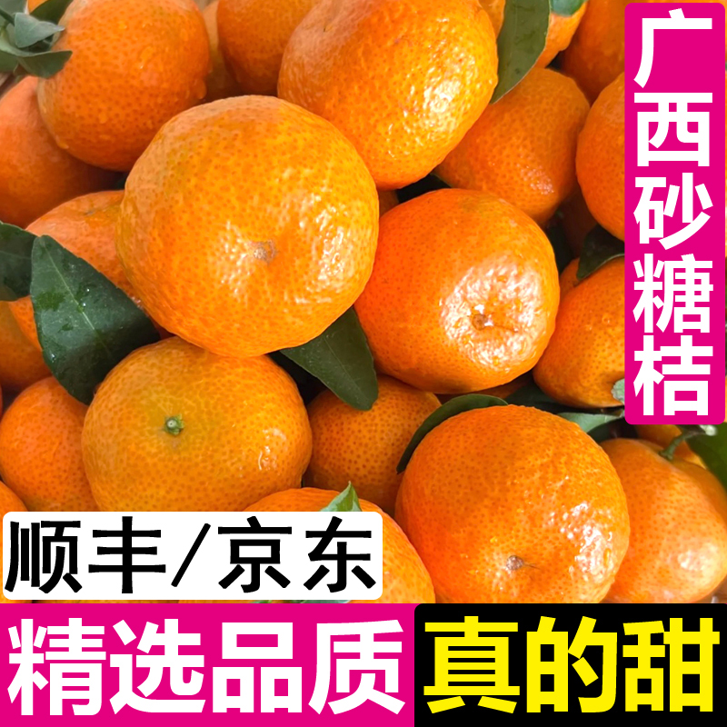 顺丰/京东包邮 正宗广西砂糖橘新鲜沙糖桔鲜甜桔子5/10斤应季水果