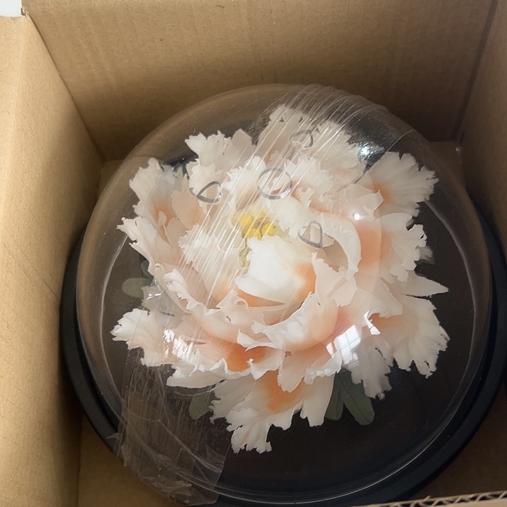 小米茶器龙泉青瓷