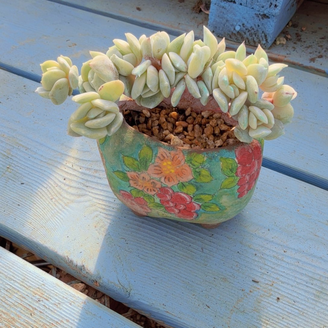 奥***森我也不知道我为什么要