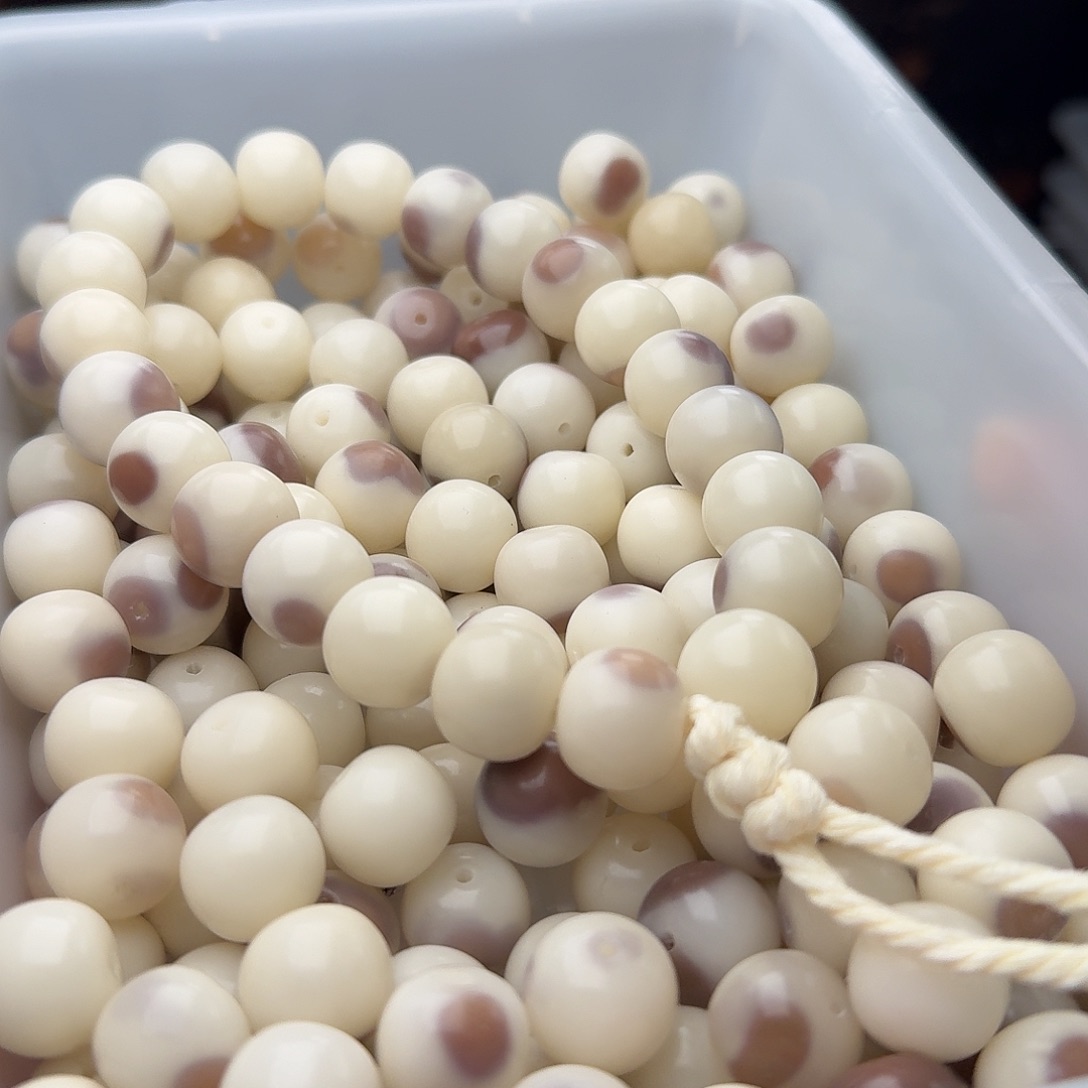 吊坠菩提根/象牙果50 颗紫奶豆 14 骨瓷苹果