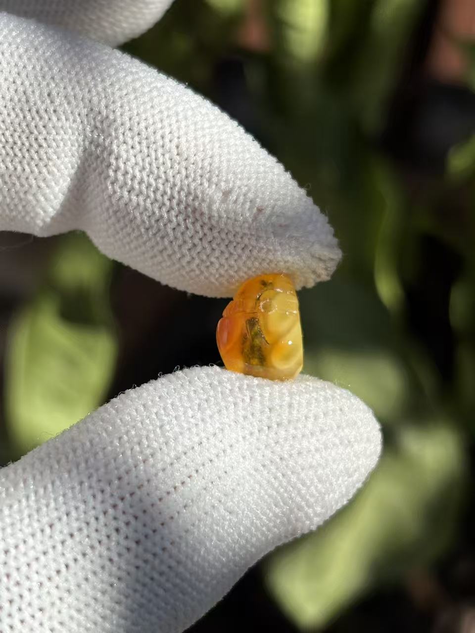 3886天然蜜蜡琥珀钱袋配饰8x10mm