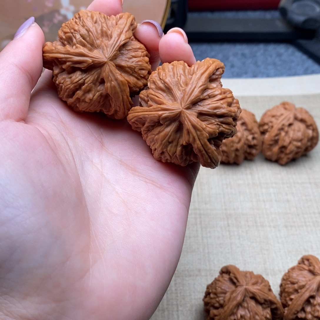 @***生白狮子1111111111