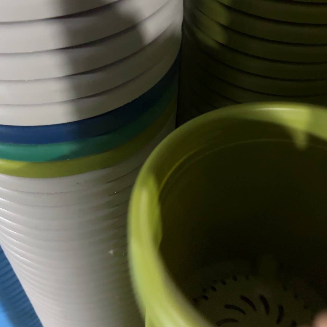 树脂四季4号无托8个果绿微瑕