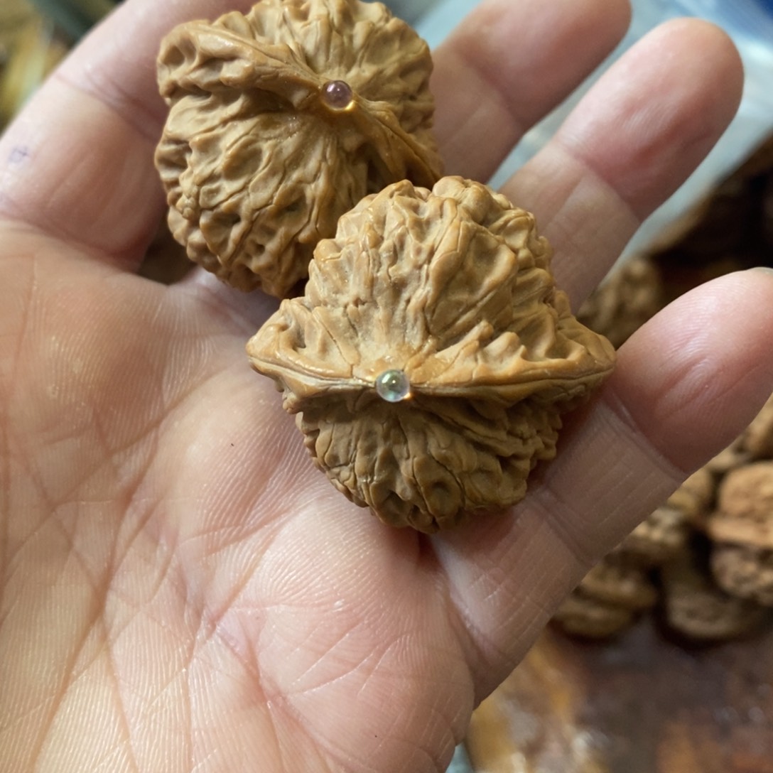 秦岭山脉是以北缘或