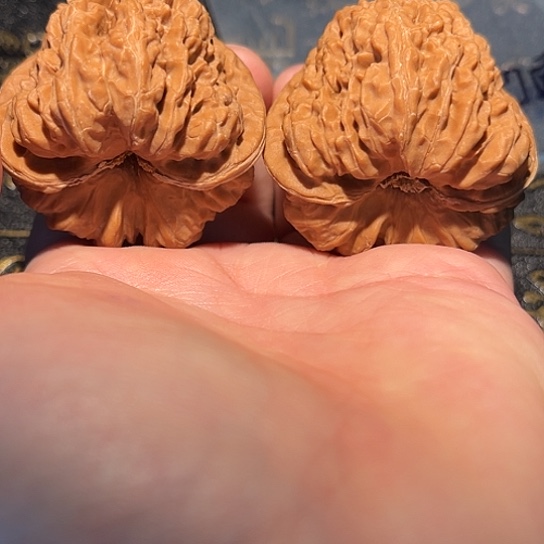 鲨***椒核桃手串/手链42 平谷凹底