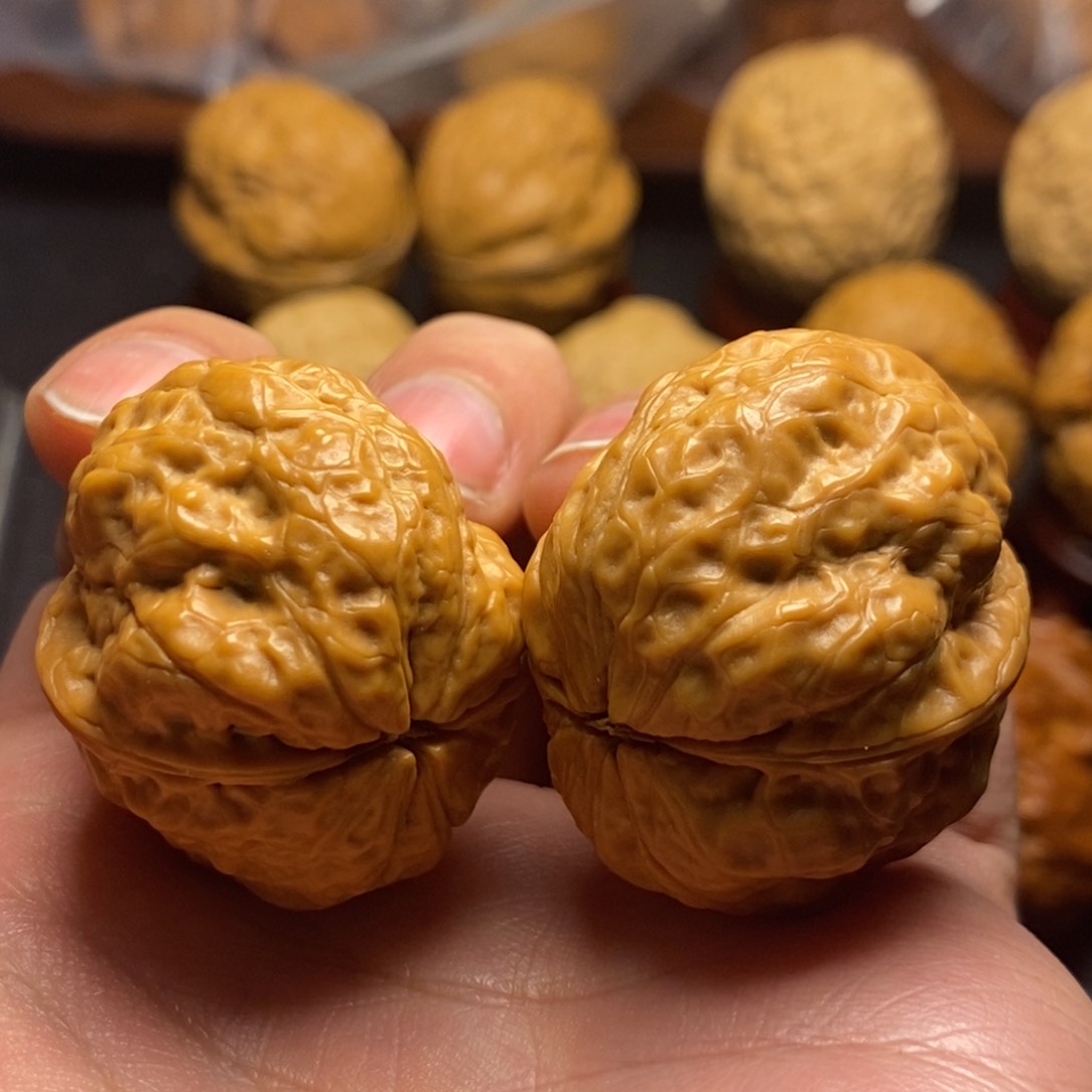 文玩核桃把件36尺净莲妖蟾