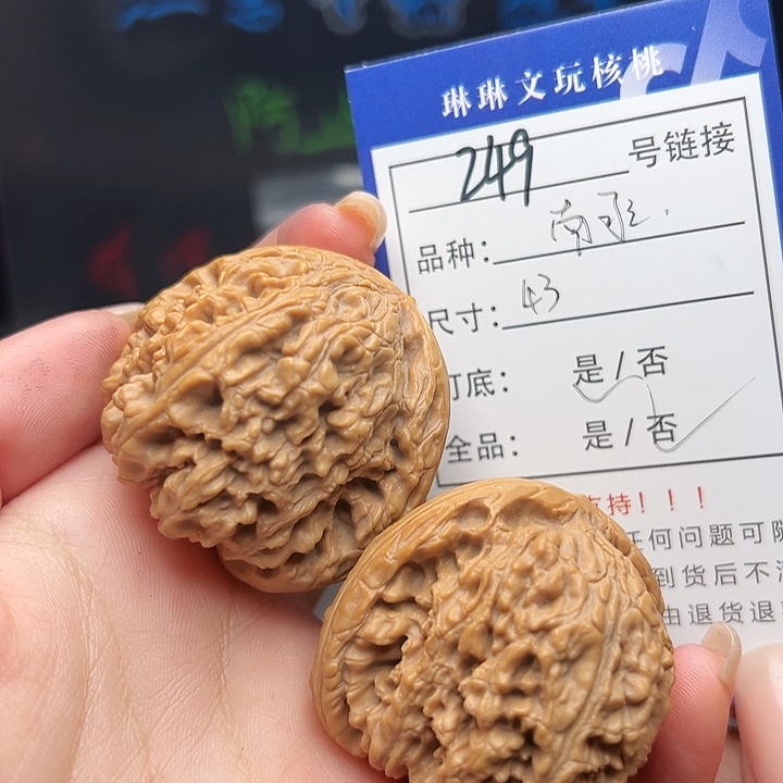 文玩核桃吊坠核桃树249