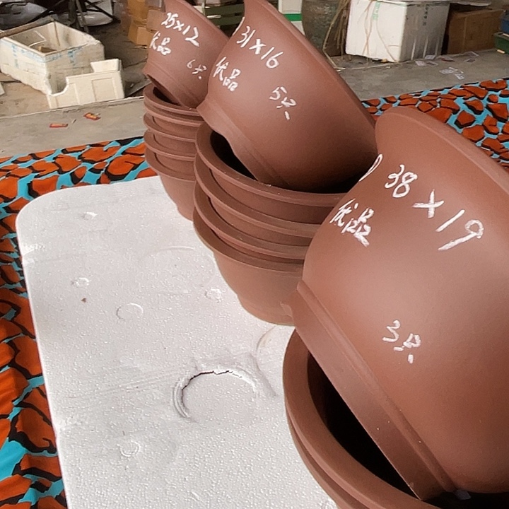 两大两中两小6只特价