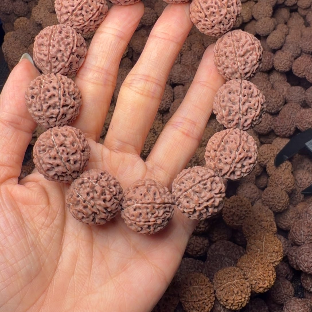 金刚菩提手串8瓣卡22尺，130号