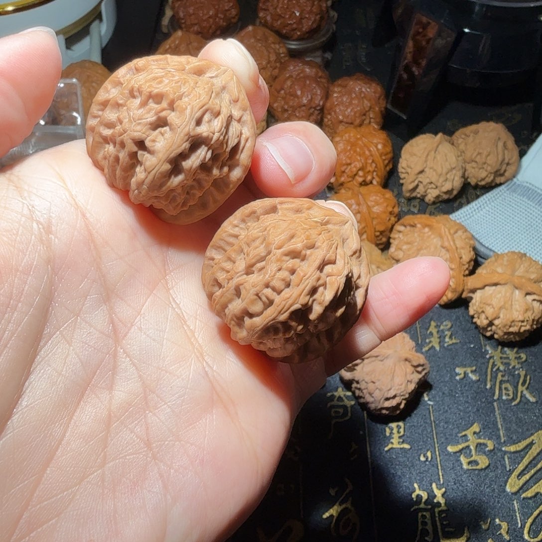 核桃燕山山脉白狮子