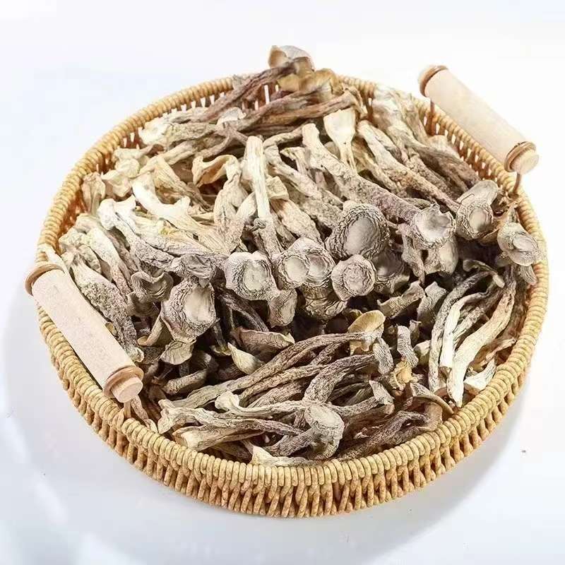甄选鹿茸菇干货头茬新货九成干可用于凉拌炒肉煲汤食材菌菇