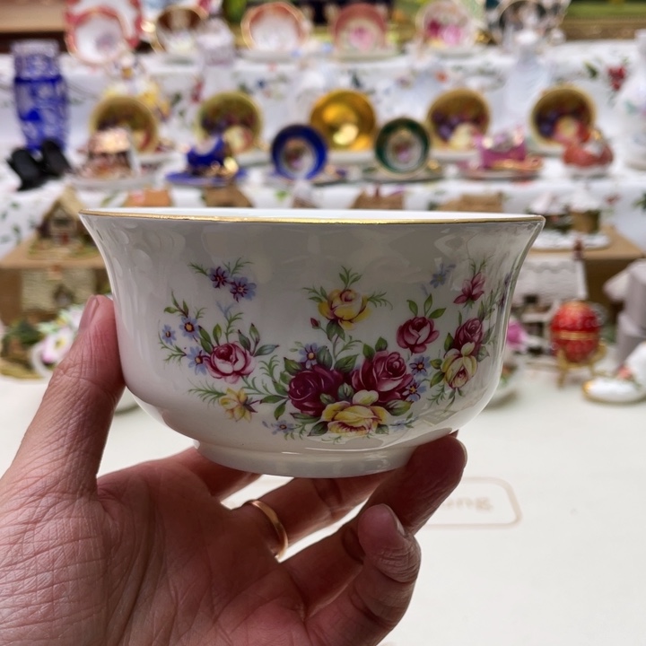 碟维多利亚欧洲中古