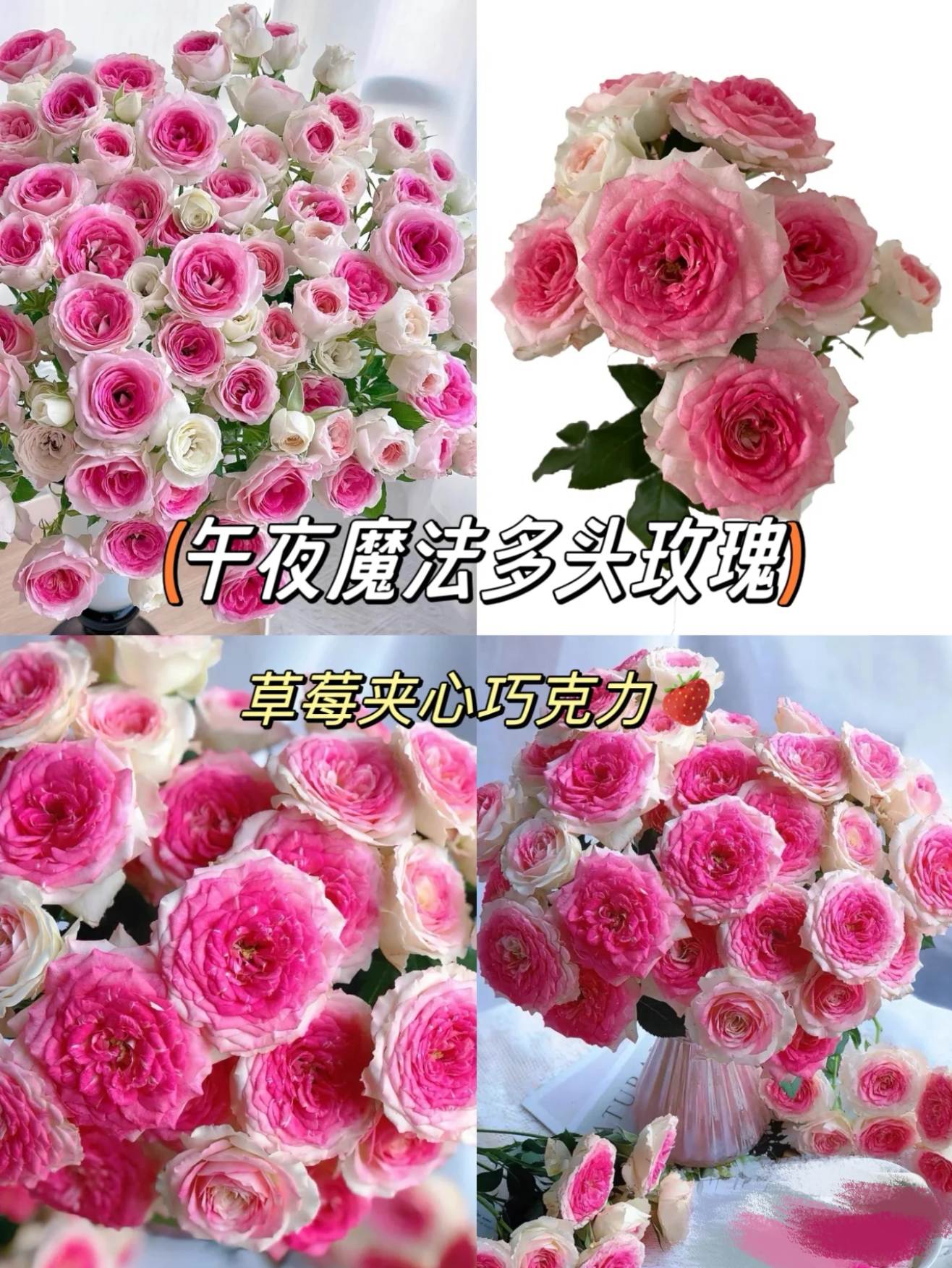 午夜魔法多头玫瑰：1单普通快递包邮，同一地址2单及以上冷链送配草