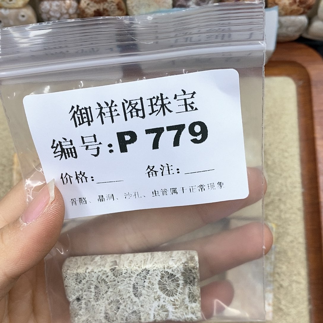 硅化珊瑚（珊瑚玉）P未镶嵌元*