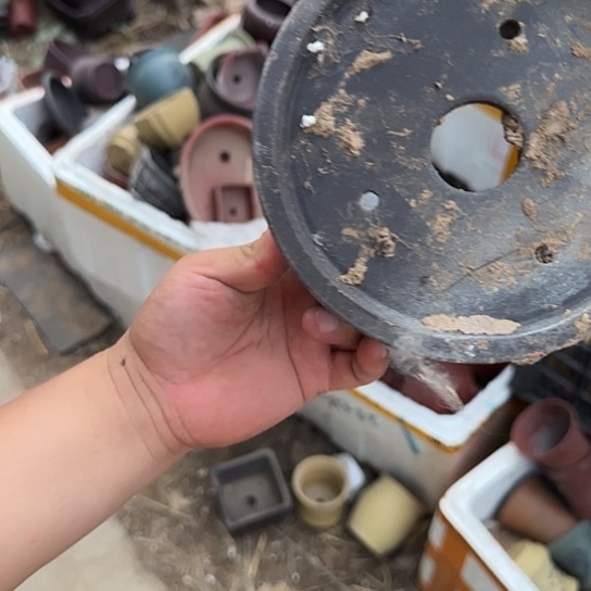 你就在家里待不着啦哈