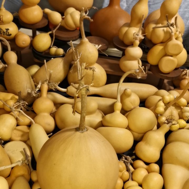 相***。自然葫芦专拍链接