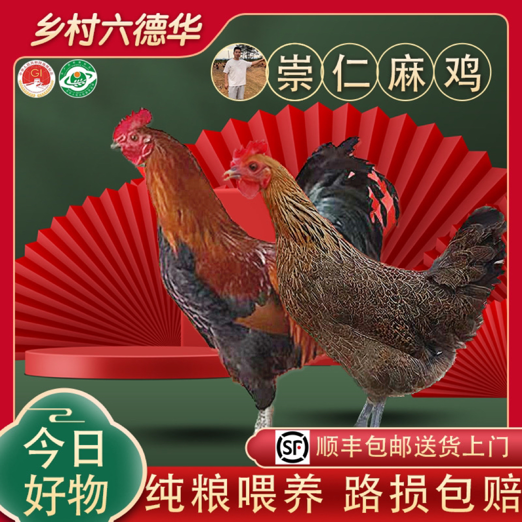 【第三批】崇仁麻鸡营养丰富肉质鲜嫩青脚麻单只8两-1 包冰率不含冰