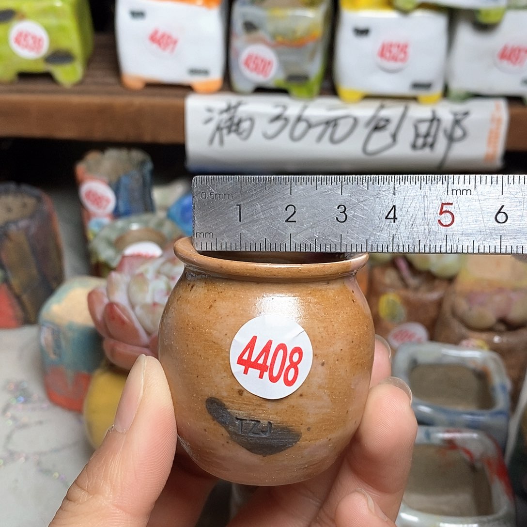 红陶拍5送一个小