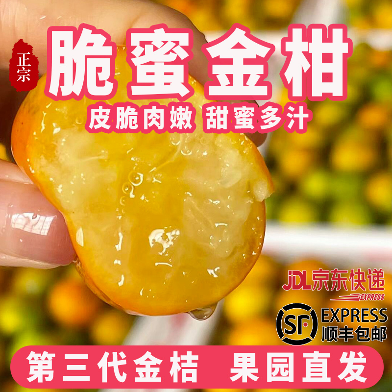 【顺丰包邮】大凉山第三代脆蜜金桔脆甜多汁包甜新鲜采摘产地发货