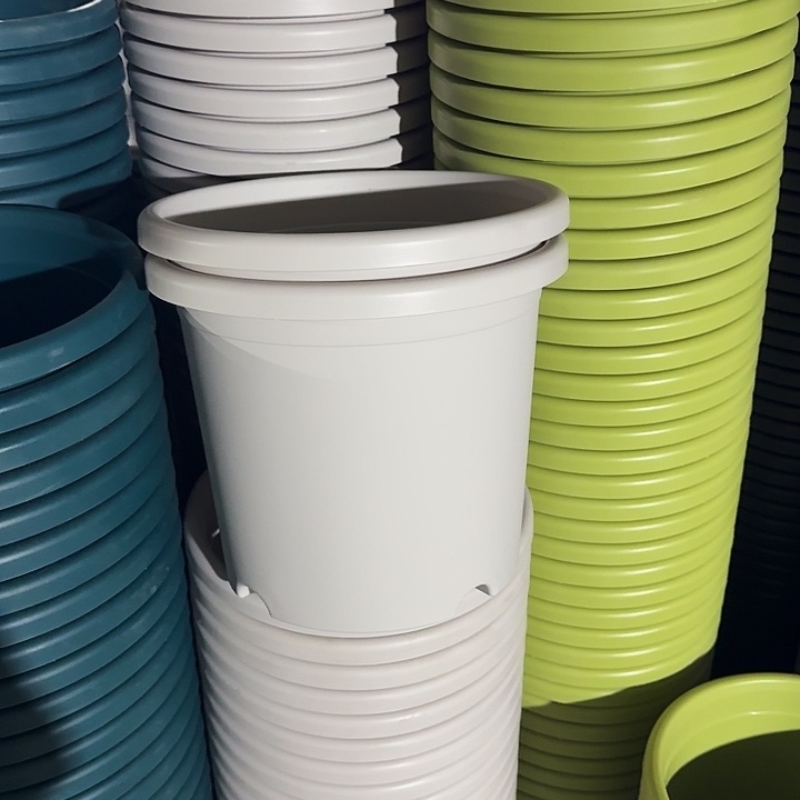 四季5#口径29灰白10个无托