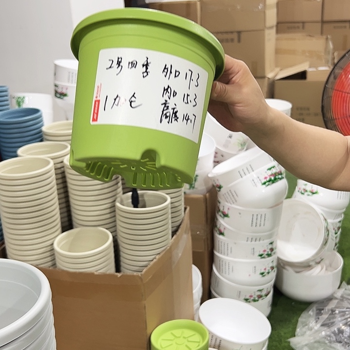 特价2号口17.3高14.7果绿无托10只