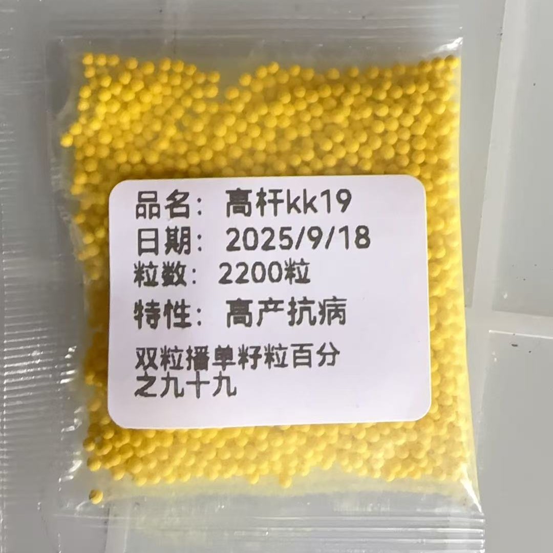 饵料高杆kk19合适2200以下，湖陕北云贵川