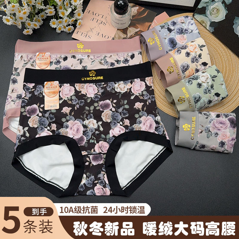 5条装～琥珀流光 蚕丝暖绒裤大玫瑰高腰大码女士三角内裤衩抗菌A24