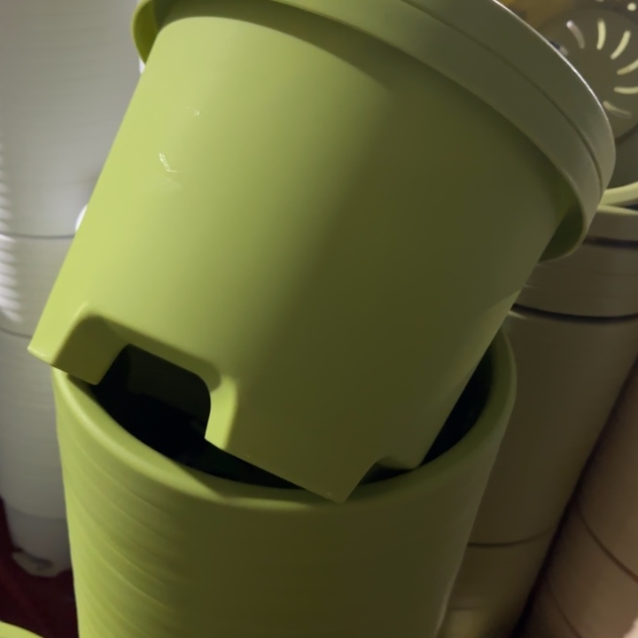 球根4#口径32无托果绿5个