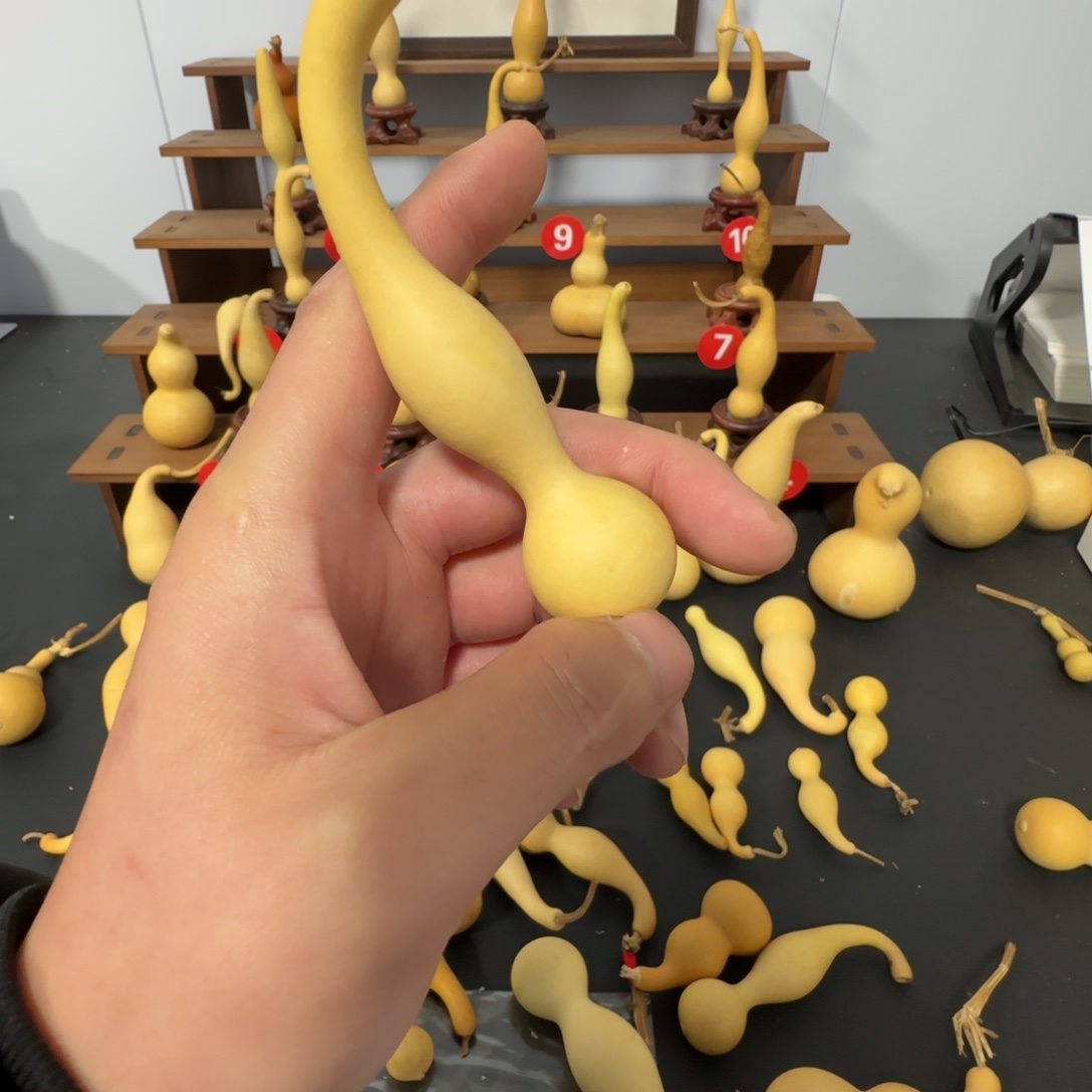 @***空今天晚上不回家吗