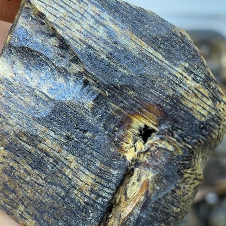 爱***嘿树脂制品海南棋南陆河块料50g