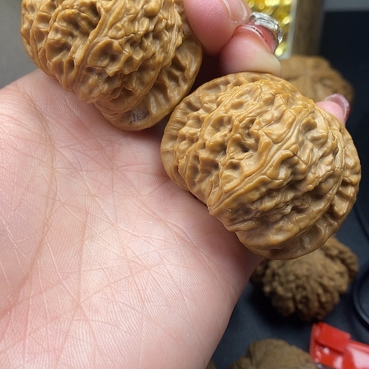 大叶紫檀（黑酸枝木类）白师子48加