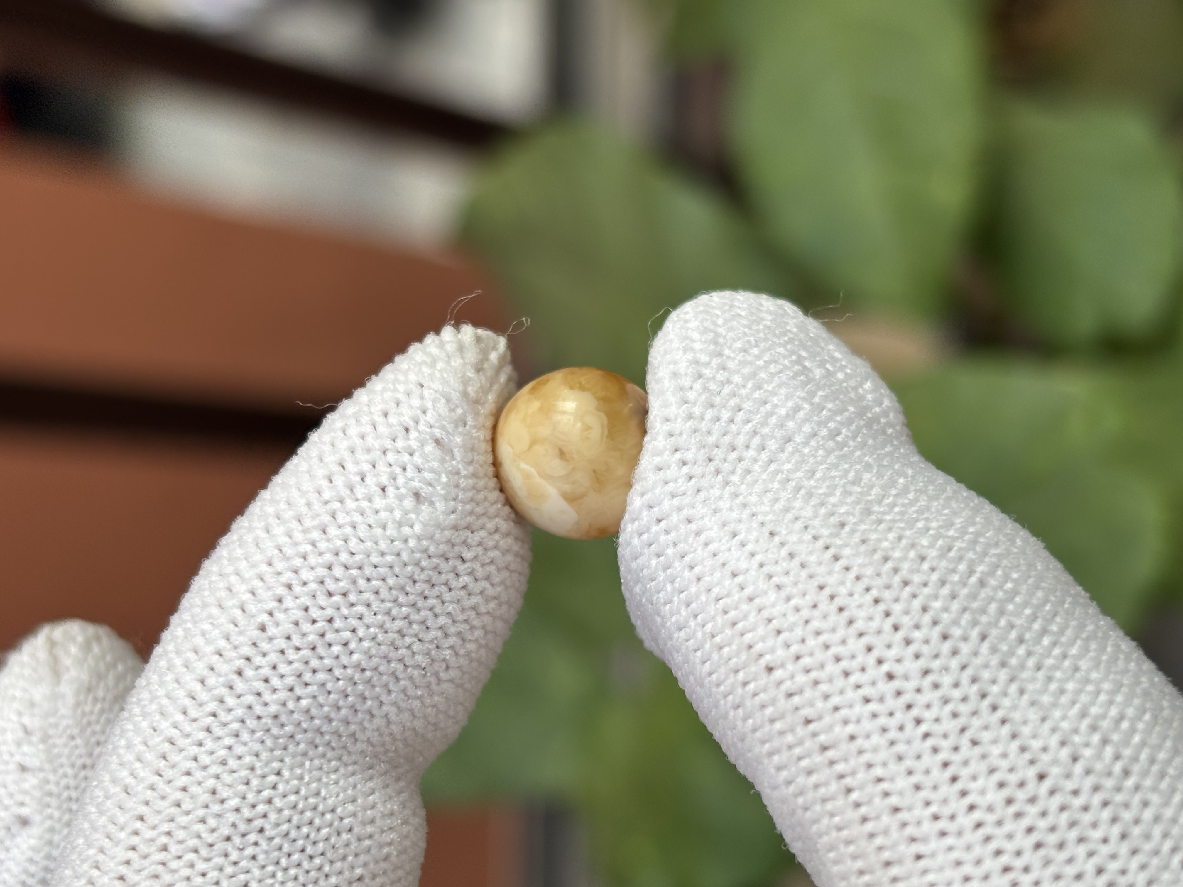 5347天然蜜蜡琥珀微瑕圆珠10.1mm