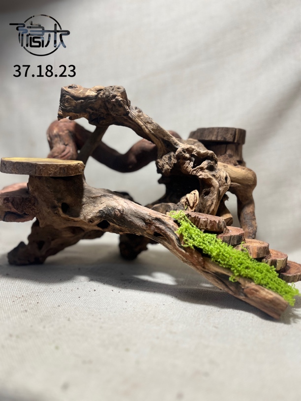 沉木寄居蟹造景房子