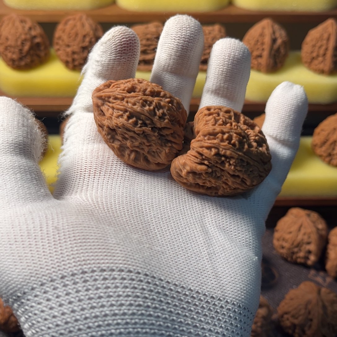 37尺南疆石丑疆一对