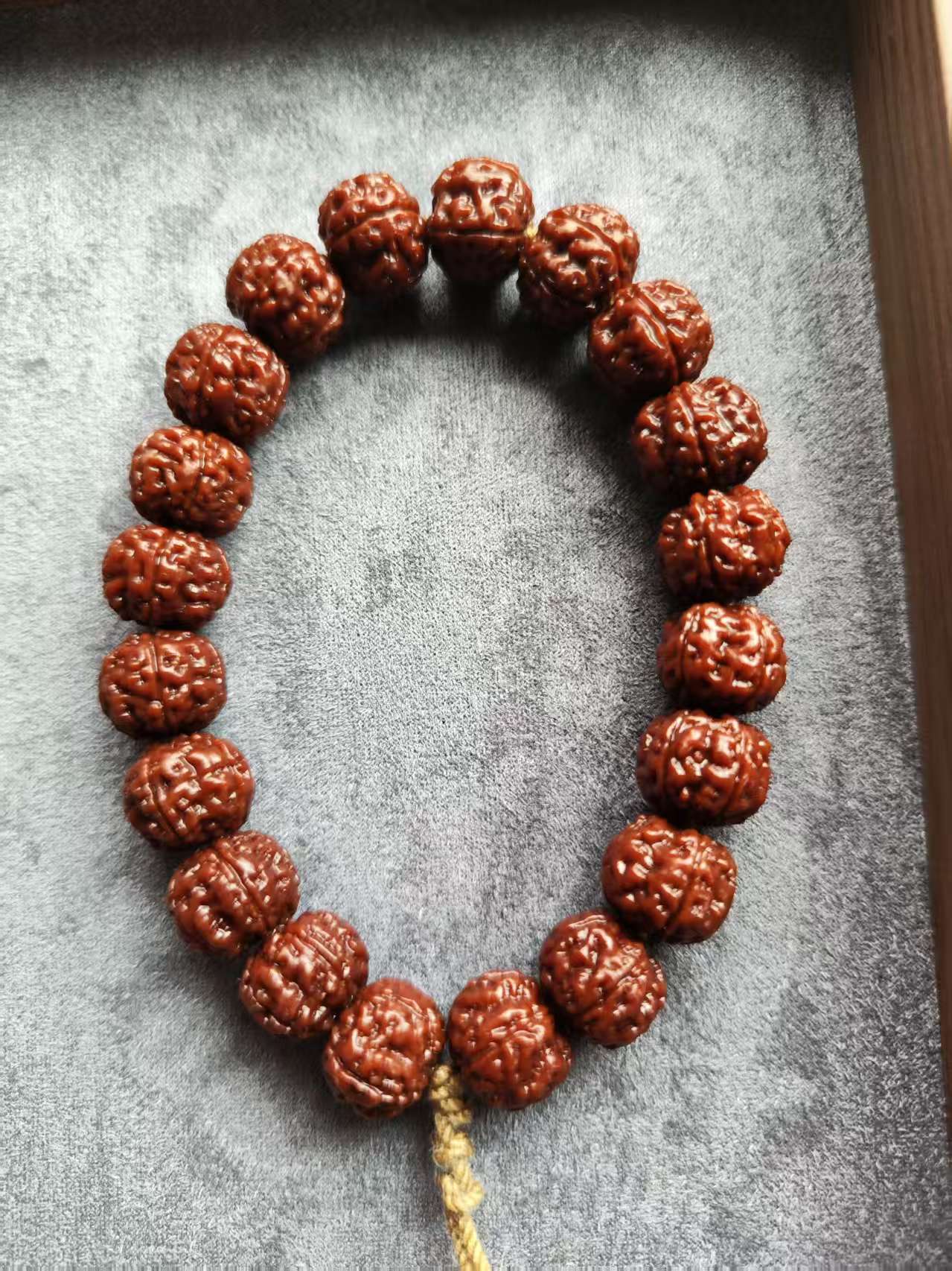 无品牌纯血老树王小金刚