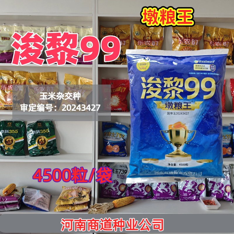 高产浚黎99玉米种子