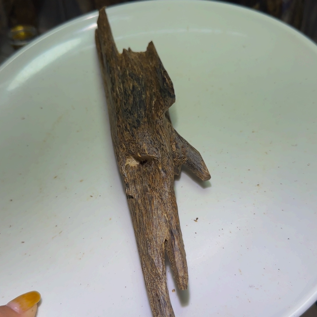 沉香手把件公*哥沉香奇楠天然虎斑棋虫漏76克