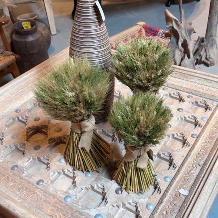 瓷片顺***月喜欢看这种剧了啊这个