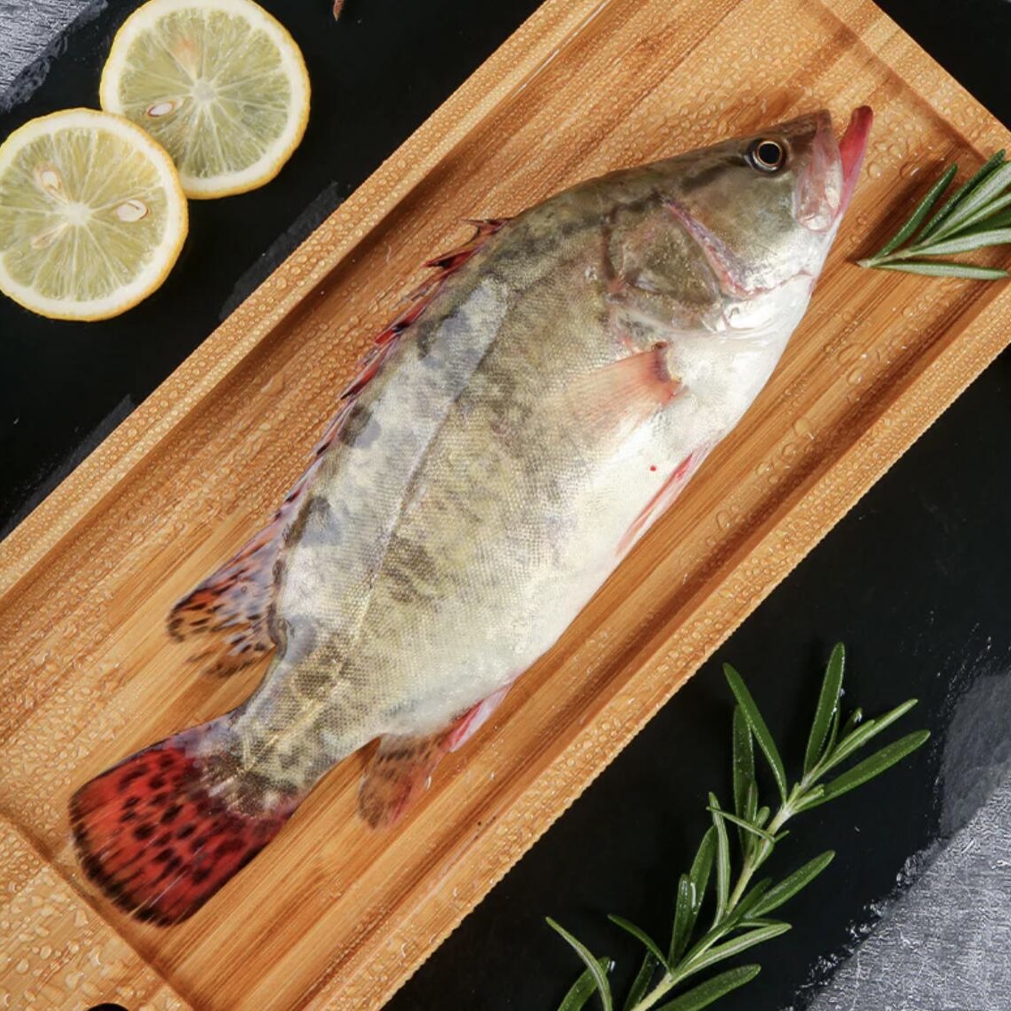 【500g】鲜活桂花鱼