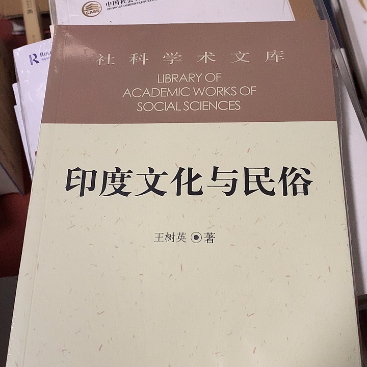 印度文化与民俗瑕疵书