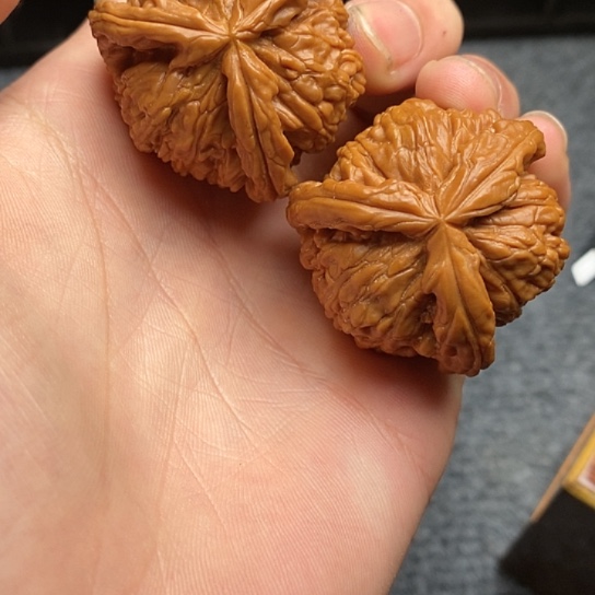 A***任白狮子11111111111111111
