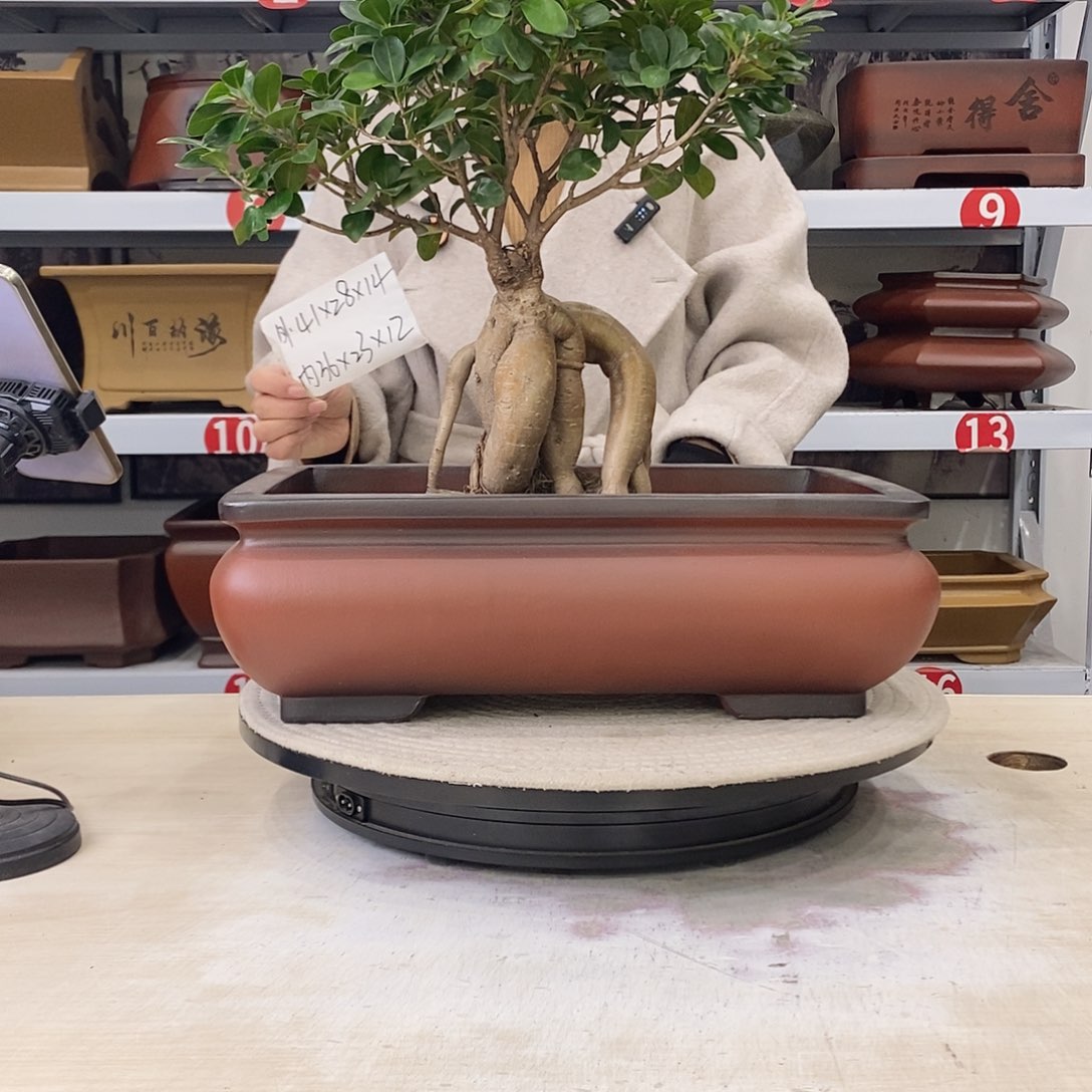 花盆紫砂紫砂花盆