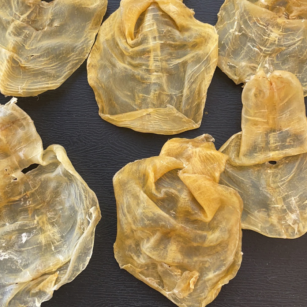 广东鱼胶 甲肚花胶鱼胶
